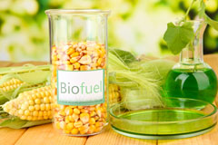 Raggra biofuel availability