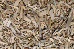 biomass boilers Raggra
