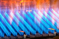 Raggra gas fired boilers